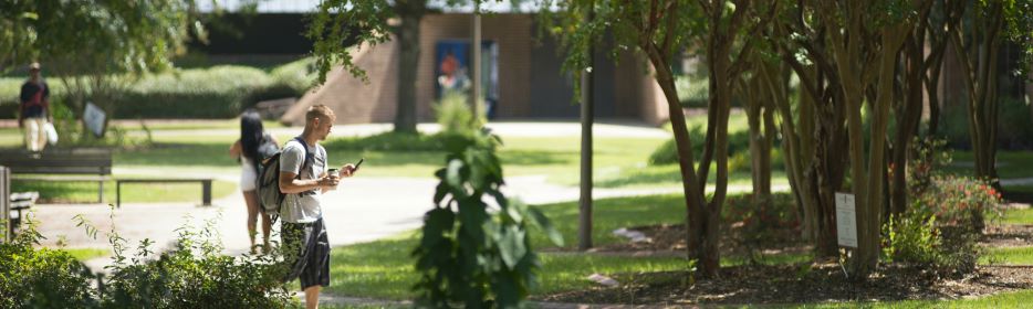 Students walking among trees on campus.